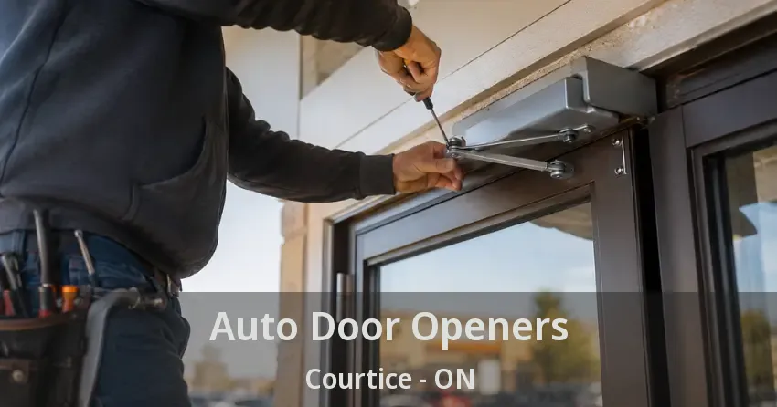 Auto Door Openers Courtice - ON