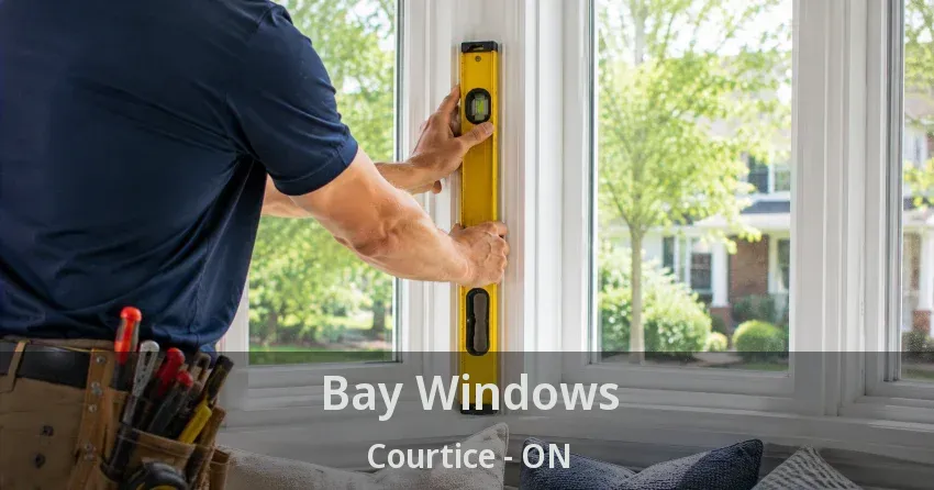 Bay Windows Courtice - ON
