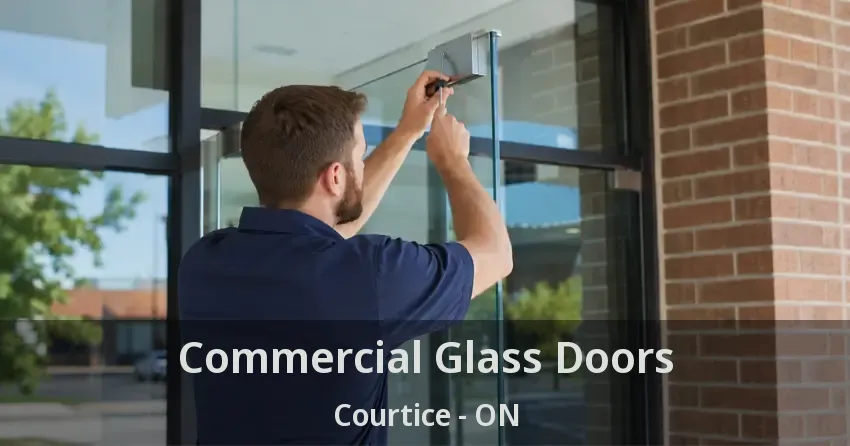 Commercial Glass Doors Courtice - ON