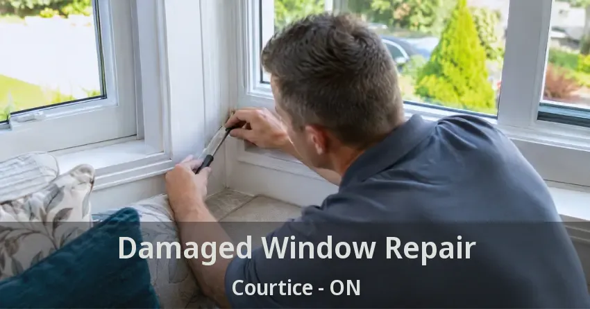 Damaged Window Repair Courtice - ON