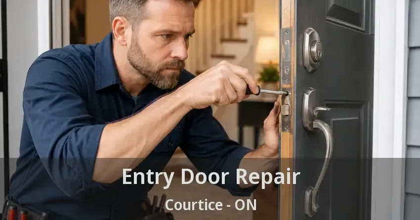 Entry Door Repair Courtice - ON