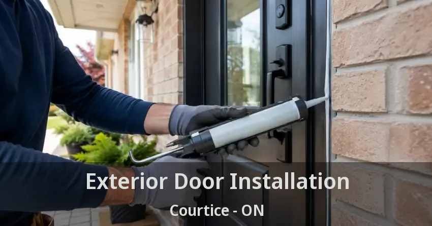 Exterior Door Installation Courtice - ON