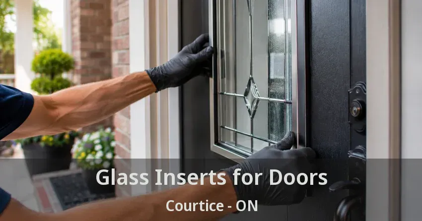 Glass Inserts for Doors Courtice - ON