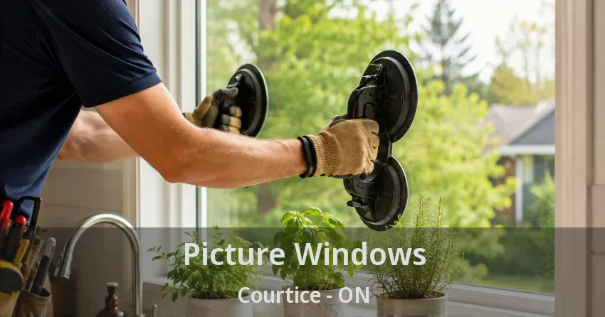 Picture Windows Courtice - ON
