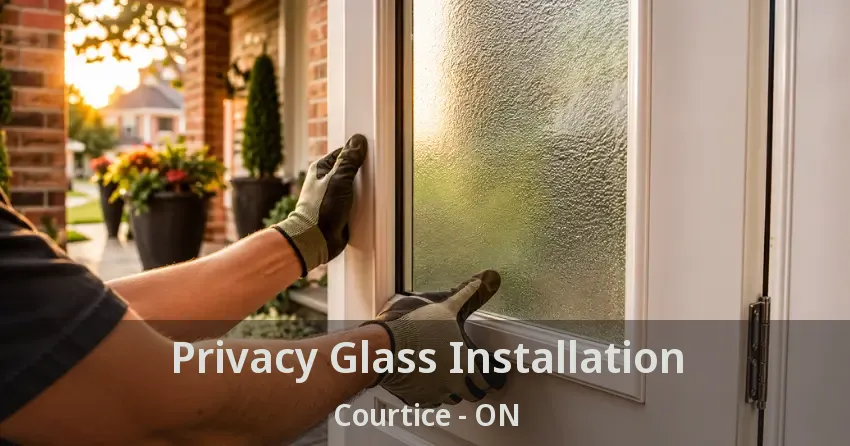 Privacy Glass Installation Courtice - ON