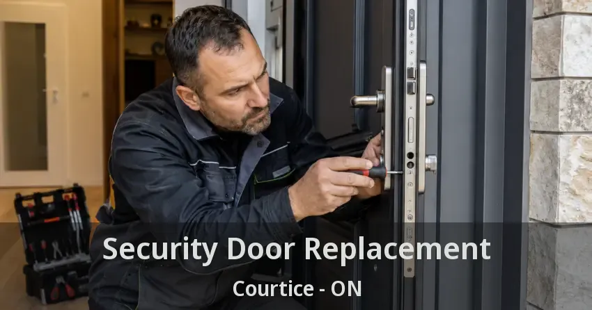 Security Door Replacement Courtice - ON