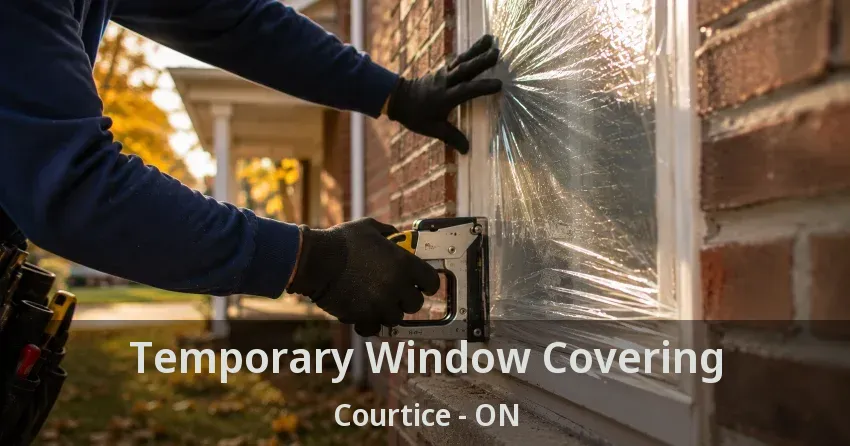 Temporary Window Covering Courtice - ON