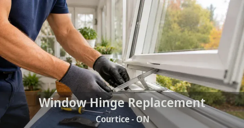 Window Hinge Replacement Courtice - ON